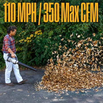 Cordless 20V Leaf Blower